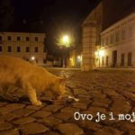kastracija