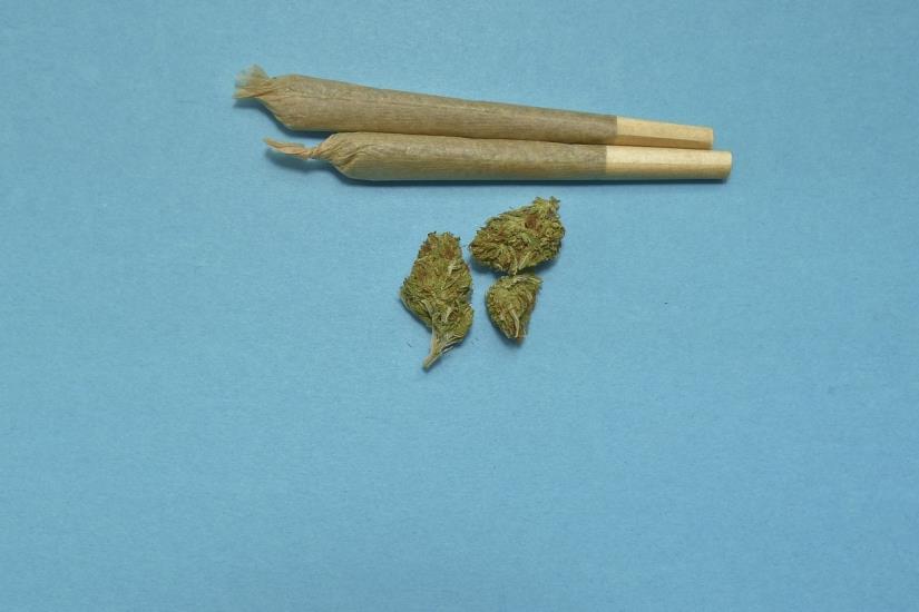 Dobrovoljno predao vrećicu s više od 5 grama marihuane