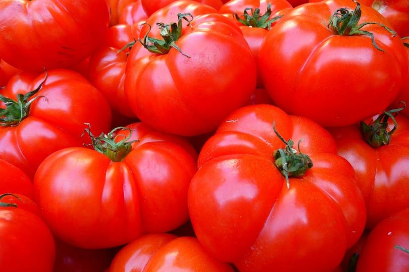 Evo kako možete doći do besplatnog sjemena rajčice!