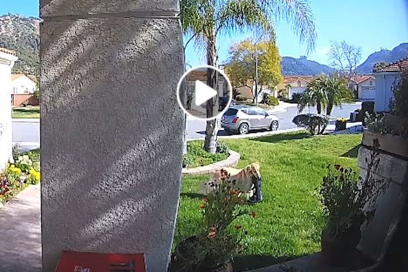 Lopov ‘na kvadrat’: Krađa cipela po susjedstvu! ‘Ulovila’ ga nadzorna kamera!