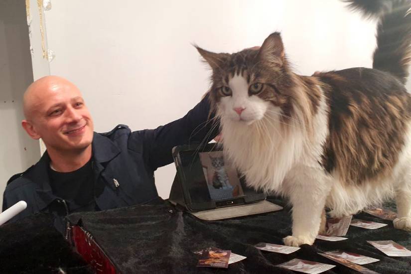 Boris Piližota – najzainteresiraniji dužnosnik Gradske uprave za obilazak Revijalne izložbe mačaka