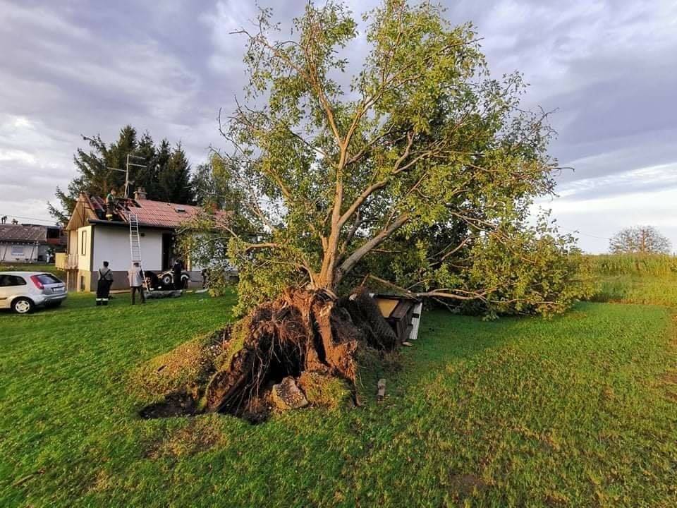 Proglašena prirodna nepogoda od olujnog vjetra u Novoj Bukovici