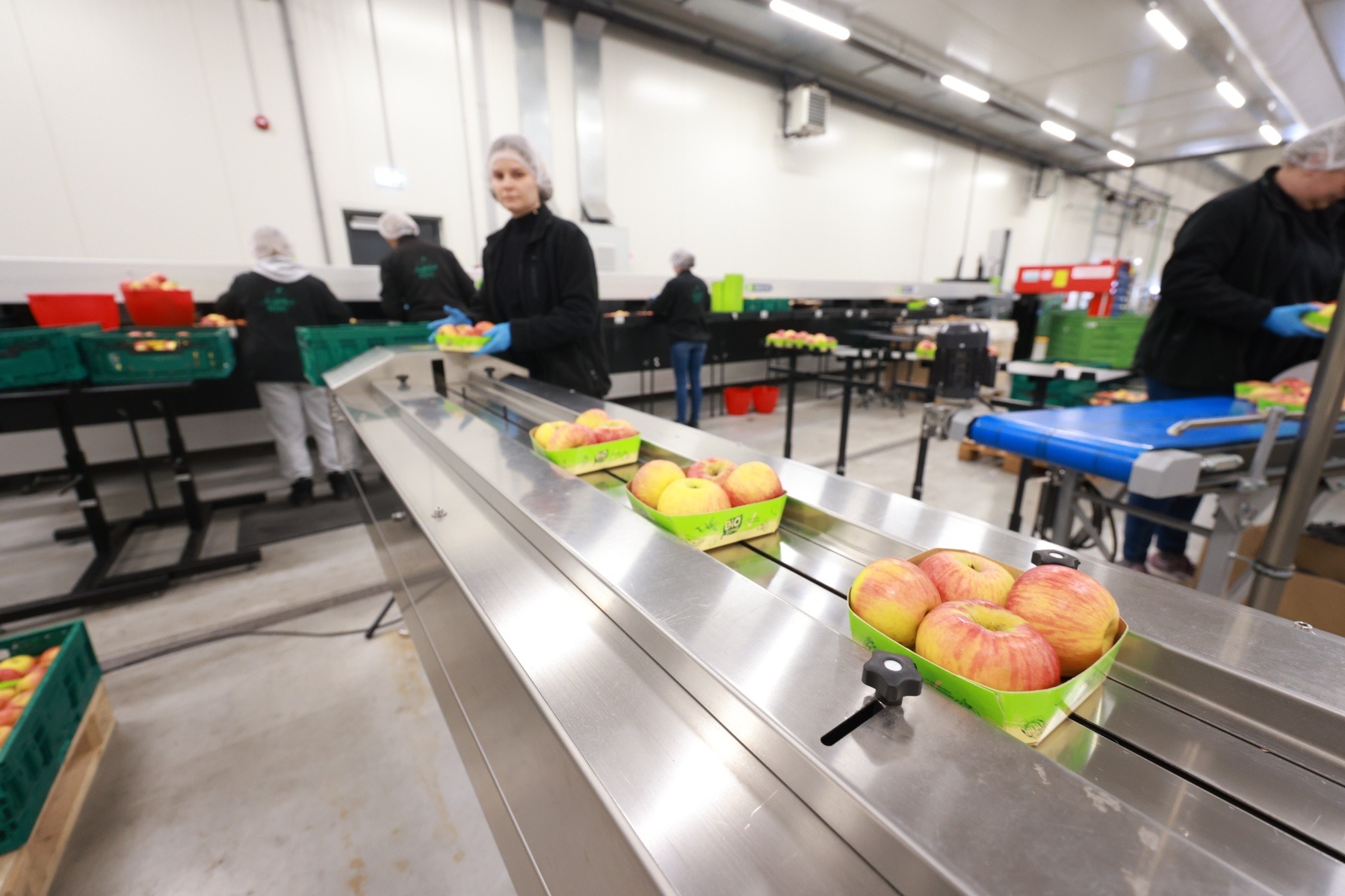 Regionalni distribucijski centar – ključna potpora domaćim proizvođačima voća i povrća