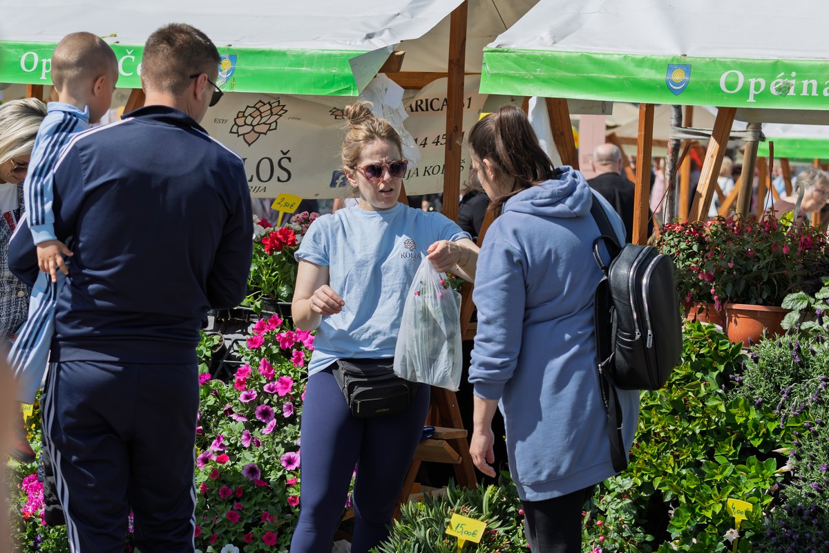 Proljetni festival u Čepinu oduševio posjetitelje bogatim programom i odličnom atmosferom